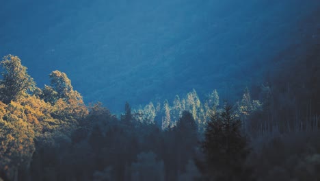 Vista-Aérea-De-Las-Empinadas-Laderas-Cubiertas-De-Bosques-Y-Un-Lago-Debajo