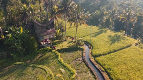 Unrecognizable-Farmer-working-beside-traditional-hut-amid-rural-farm-fields-and-tropical-nature,-Drone-reveal