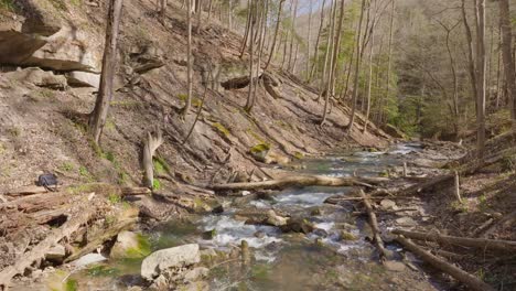 Ein-Ruhiger-Waldbach-Fließt-An-Einem-Sonnigen-Tag-Durch-Eine-Felsige-Landschaft