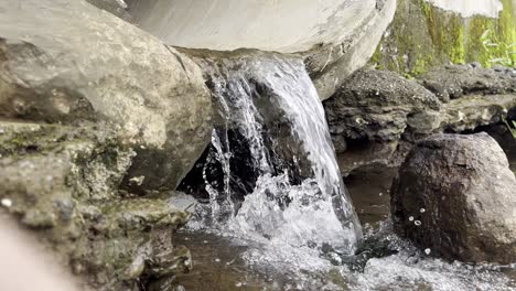 A-handheld-close-shot-of-water-falling-from-inside-a-cave-with-big-rocks-around-and-algae-behind