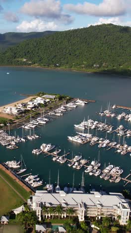 Vista-Aérea-Vertical-Del-Puerto-Deportivo-De-Airlie-Beach,-Queensland,-Australia-En-Una-Tarde-Soleada,-Disparo-De-Drone