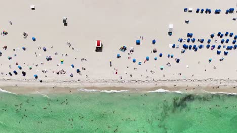 Drone-captures-a-top-down-view-of-South-Beach,-showing-people-on-the-sand-and-in-the-water-on-a-bright-day