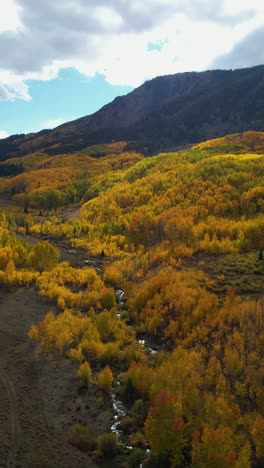 Vertical-Aerial-View-of-Beautiful-Autumn-Colors,-Yellow-Aspen-Trees-Under-Peaks-and-Clouds-Shadows-in-Landscape-of-Colorado-USA