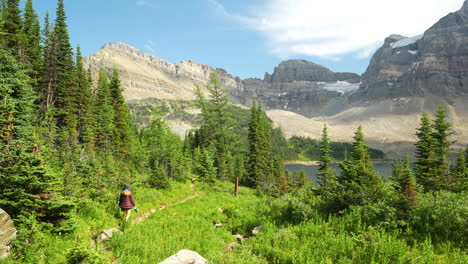 Female-Hiker-in-Green-Wilderness-of-Canadian-Mountains,-Walking-on-Trail-to-Lake-Under-Mount-Assiniboine