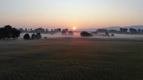 Flying-over-a-wheat-field-during-sunrise