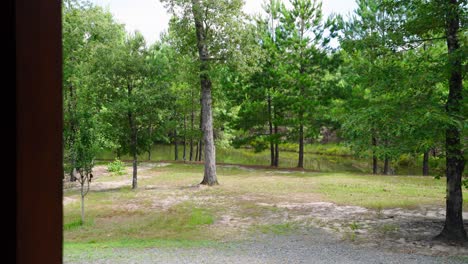 Reveal-shot-of-Pond-behind-Trees