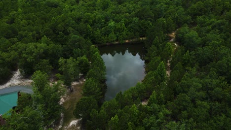 Aerial-Shot-of-Pond-with-Trees