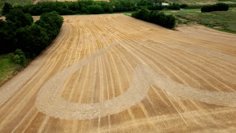 Corazón-En-Un-Campo-De-Trigo-Dorado---Fotografía-Aérea-Con-Dron