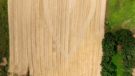 Bird's-Eye-View-Of-Wheat-Field-With-Heart-Pattern---Drone-Shot