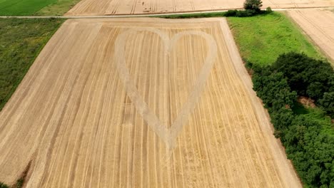 Forma-De-Corazón-Elaborada-Sobre-Un-Campo-De-Trigo-Dorado