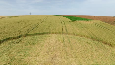 Patrón-De-Círculos-En-Los-Cultivos-En-Un-Campo-De-Trigo:-Retroceso-Aéreo