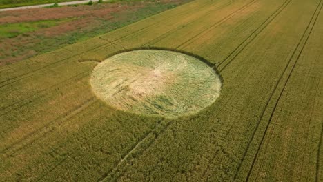 Crop-Circle-In-Cornfield---Aerial-Shot