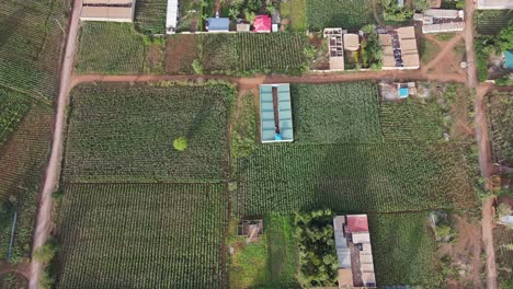 Idyllic-African-village-at-footstep-of-Mount-Kilimanjaro,-Loitokitok,-Kenya,-top-down-view