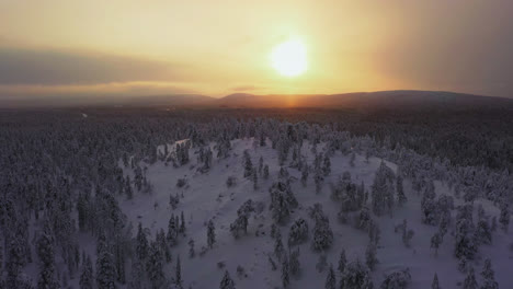 Aerial-tracking-shot-of-a-snow-covered-hills-and-wintry-forest,-sunset-in-Lapland