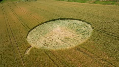 Patrón-De-Círculos-En-Los-Cultivos-En-Un-Campo-De-Trigo:-Fotografía-Aérea-Con-Dron