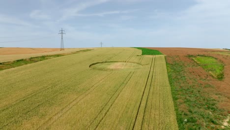 Kornkreis-Auf-Getreidefeld---Luftaufnahme-Einer-Drohne