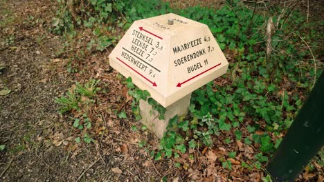 A-white-signpost-mushroom-located-in-the-lush-Brabant-forest-of-Cranendonck,-Netherlands