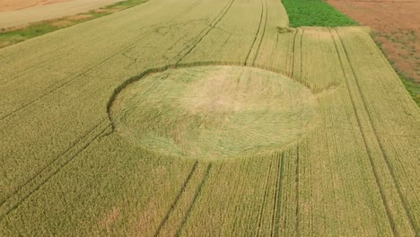 Vista-Aérea-De-La-Formación-De-Círculos-En-Los-Cultivos-En-Un-Campo-De-Trigo:-Fotografía-Con-Dron