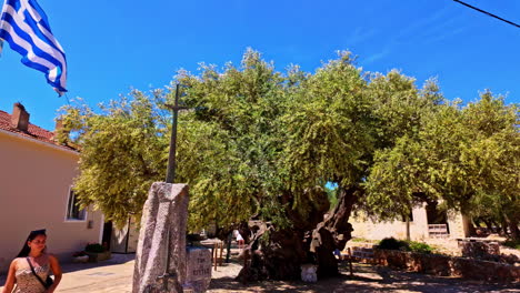 Greek-Flag-Waving-With-Ancient-Olive-Tree-At-Exo-Chora-Village-During-Sunny-Day-On-Zakynthos-Island,-Greece