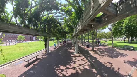 Beautiful-greenery-canopy-walkthrough-at-the-Boston-Harbor