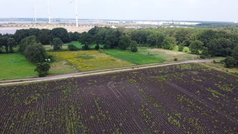 Aerial-above-bicycle-road-through-agricultural-fields-with-industrial-buildings-in-background