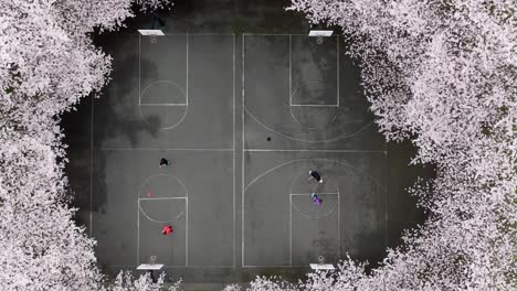 Wapato-Park,-Tacoma,-Washington,-USA---Young-People-Playing-Basketball-on-a-Court-Surrounded-by-Cherry-Trees---Topdown-Shot