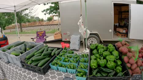 Pfanne-Eines-Verkäufers-Anzeige-Von-Frischem,-Lokal-Angebautem-Gemüse-Auf-Dem-Sommerbauernmarkt