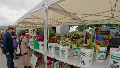 Pfanne-Der-Schönen-Blumen-Zum-Verkauf-Auf-Dem-örtlichen-Bauernmarkt