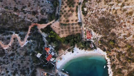 Aerial-drone-top-shot-of-a-bay-on-Hvar-island-with-olive-trees,-old-buildings-and-turquoise-water