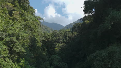 On-a-sunny-day-drone-enters-a-dense-forest-in-Nepal,-capturing-the-serene-beauty-of-hills-under-a-cloudy-blue-sky-highlighting-the-tranquil-and-picturesque-landscape