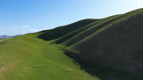 Luftaufnahme-Der-Grünen-Berge-Und-Der-Friedlichen-Natur