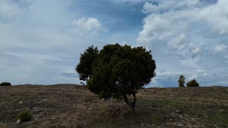 Vista-Aérea-De-Las-Verdes-Montañas-Y-La-Naturaleza-Tranquila.