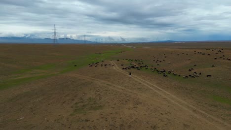 Aerial-view-of-the-Green-Mountains-and-peaceful-nature