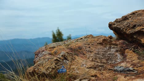 Junger-Wanderer-Geht-Im-Wald-Spazieren,-Junger-Mann-Geht-Im-Wald-Spazieren,-Aufnahmen-Eines-Jungen-Mannes,-Der-Durch-Ein-Malerisches,-Bewaldetes-Berggelände-Wandert-Und-Spaziert,-Wandern