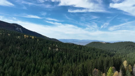 Ein-Drohnenflug-über-überwiegend-Nadelwald-Und-Kiefern-Mit-Einem-Schönen-Bewölkten-Himmel-Im-Hintergrund