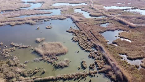 Parque-Natural-De-La-Albufera,-Reserva-Natural,-Laguna,-Mar-Mediterráneo,-Valencia,-España