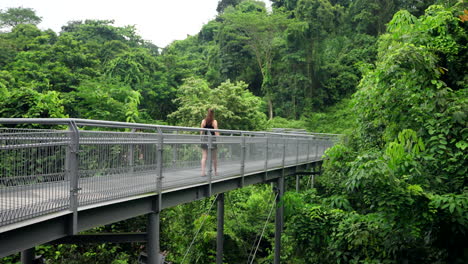 Cada-Paso-Resuena-Con-La-Sinfonía-De-La-Naturaleza-Salvaje,-Paseo-Por-Las-Copas-De-Los-árboles-De-Singapur