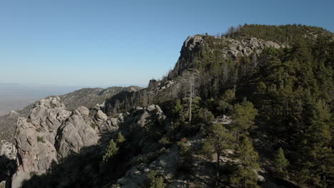 4K-Drohnenaufnahme-Einer-Kreisfahrt-über-Kiefern-Auf-Dem-Mount-Lemmon