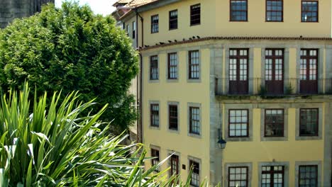 Algunas-Plantas-Ondeando-Al-Viento-Con-Un-Edificio-Amarillo-Al-Fondo-En-Oporto,-Portugal