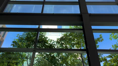 Part-of-the-glass-wall-of-a-business-building-with-the-background-of-big-trees-and-blue-sky,-still-footage