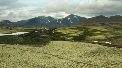 Parque-Nacional-De-Rondane,-Condado-De-Innlandet,-Noruega,-Llanuras-Cubiertas-De-Hierba-A-Lo-Largo-De-Prados-De-Llanura-Aluvial-Con-Colinas-Onduladas