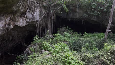 Cueva-De-Saturno-Cave-In-Cuba-Near-Varadero,-Panning-Shot