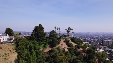 Scenic-view-of-green-hills-and-palm-trees-with-Los-Angeles-cityscape-in-the-background,-highlighting-the-contrast-between-urban-and-natural-environments