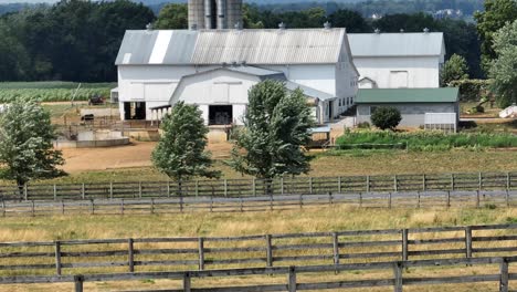 Horses-grazing-on-farm-field-with-wooden-fence-during-sunny-day