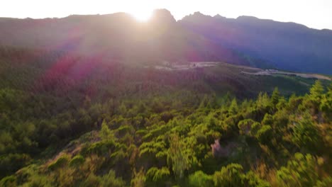 Toma-Aérea-De-Un-Bosque-En-Un-Paisaje-Verde.