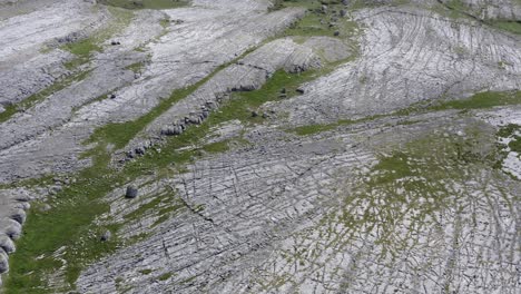 Cicatrices-Glaciares-Escarpadas-En-El-Lecho-De-Roca-Caliza-Del-Burren-En-Irlanda