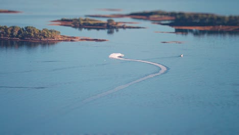 A-speedy-motorboat-circles-and-maneuvers-in-the-calm-fjord