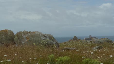 Große-Felsbrocken-Auf-Der-Wiese-Am-Meer