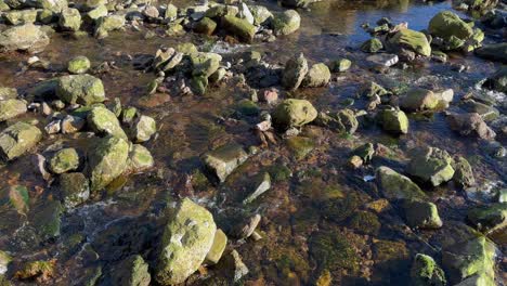 Golden-hour-river-water-trickles-through-rocks-in-stream-bed,-nature