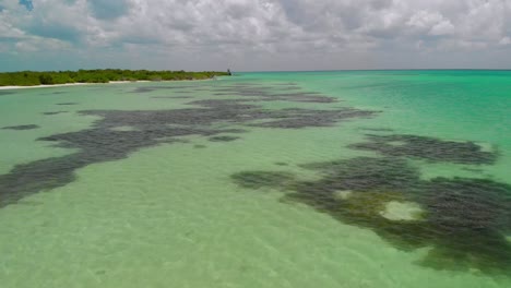 Drone-footage-of-clear-turquoise-water-in-Mexico,-highlighting-seaweed-patterns